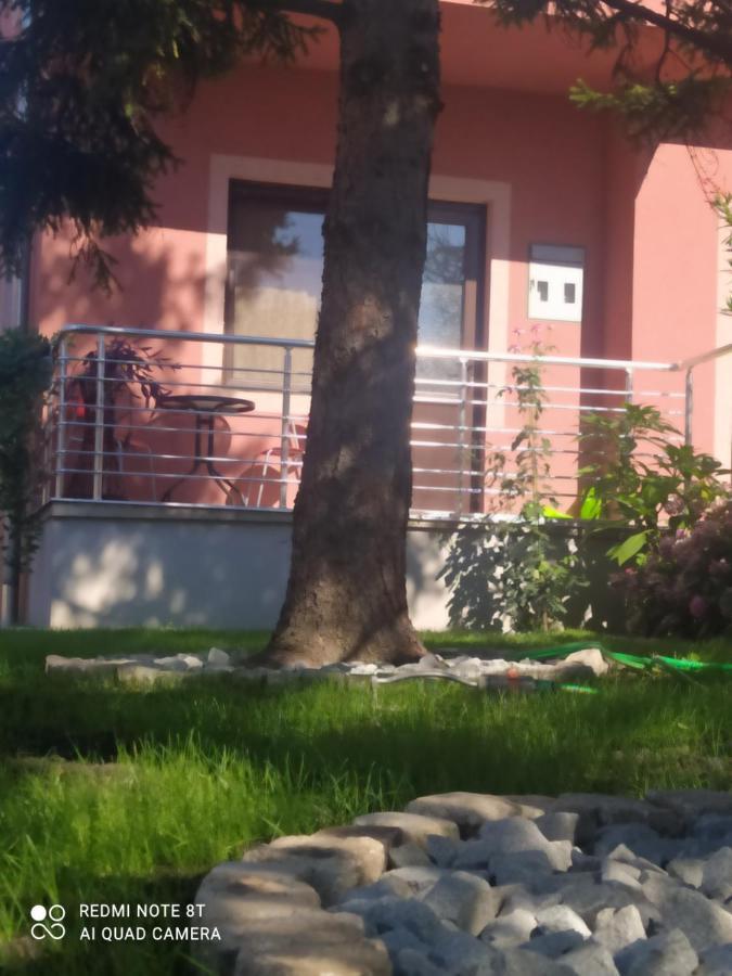 Studio 2 Golubac Exteriör bild